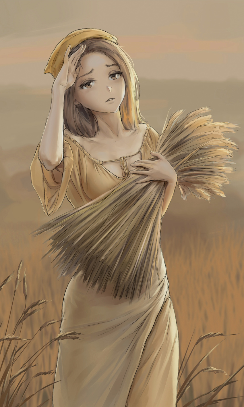 1girl, absurdres, barley, brown_eyes, brown_shirt, brown_skirt, day, dress
