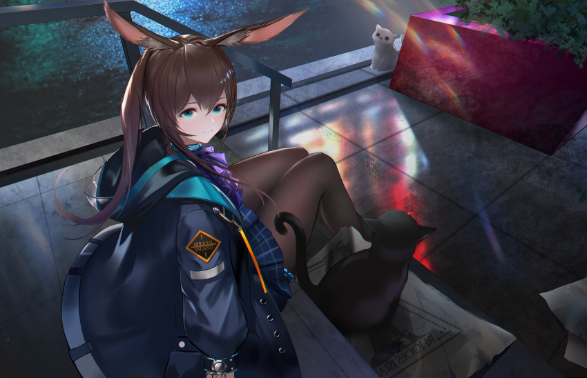 1girl, amiya_(arknights), animal, animal_ears, arknights, ascot, black_cat, black_legwear