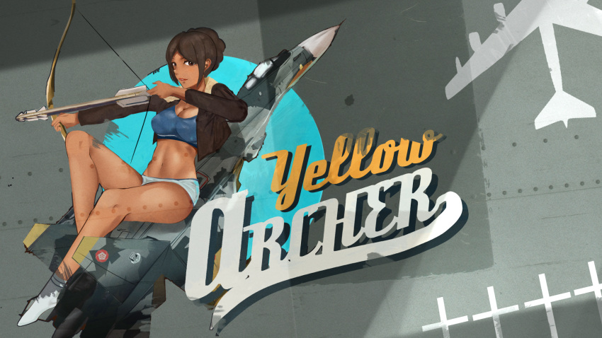 1girl, ace_combat_7, aircraft, airplane, bow, bow_(weapon), braid, breasts