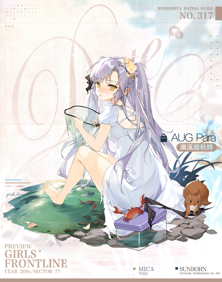 1girl, aug_para_(girls'_frontline), back, barefoot, black_ribbon, blush, box, butterfly_net