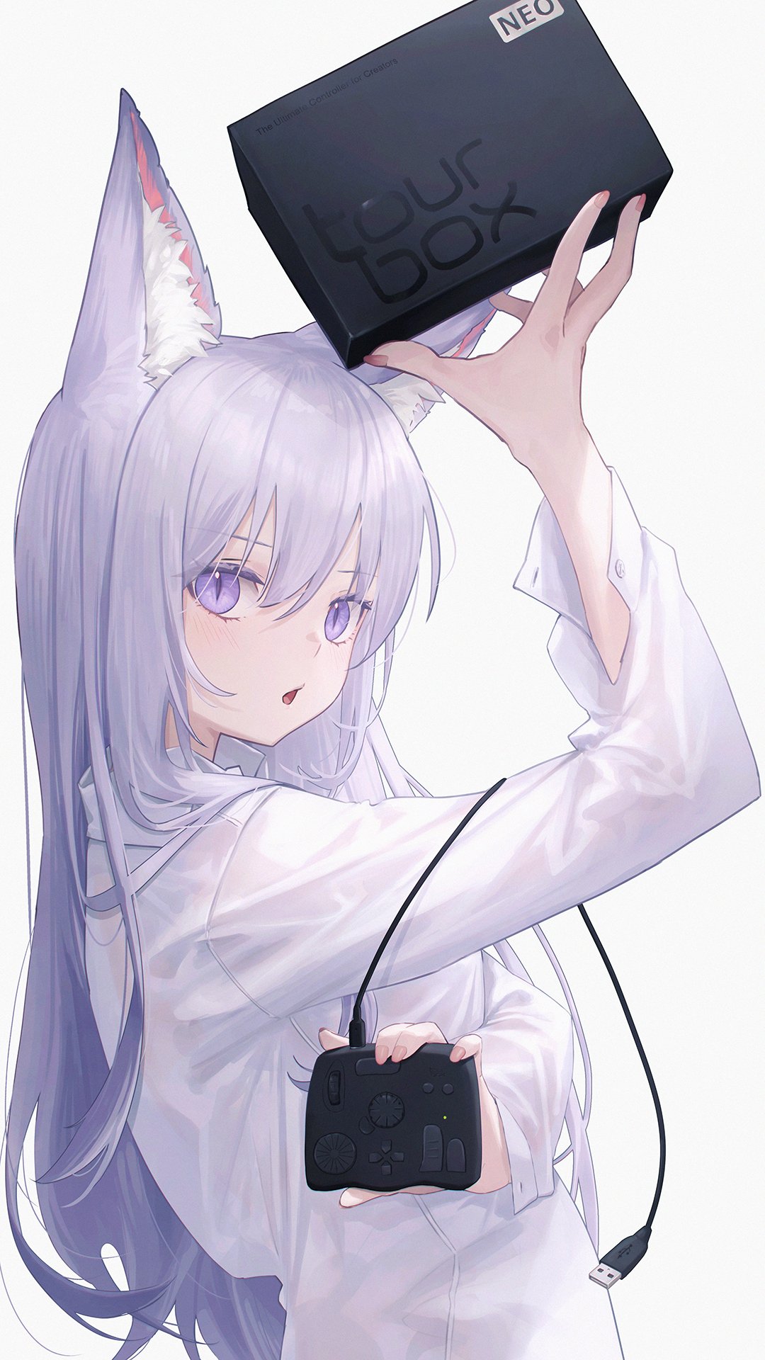 1girl, animal_ears, cat_ears, controller, from_side, game_controller, grey_hair, hair_between_eyes