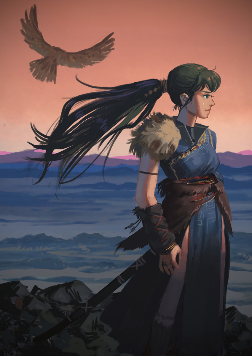 1girl, bird, commentary, fire_emblem, fire_emblem:_the_blazing_blade, from_side, green_hair, highres, illustman_(u_ip8s), long_hair, lyn_(fire_emblem), pelvic_curtain, ponytail, profile, red_sky, side_slit, sky, solo, sword, weapon