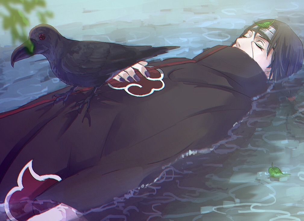 1boy, akatsuki_(naruto), akatsuki_uniform, bird, black_hair, cloak, closed_eyes, crow
