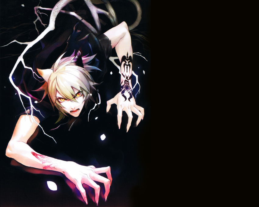 animal_ears, grey_hair, konoe, lamento_beyond_the_void, male, orange_eyes