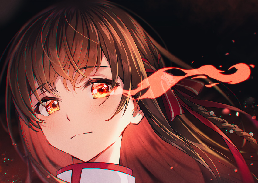 1girl, blush, braid, brown_hair, closed_mouth, colored_inner_hair, enogu, flaming_eye