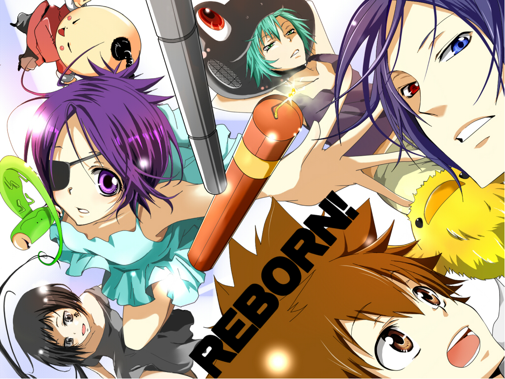 black_hair, blue_eyes, brown_eyes, brown_hair, chrome_dokuro, dokuro_chrome, dress, dynamite, everyone, eyepatch, fran_(reborn), green_eyes, green_hair, heterochromia, hibird, i-pin, katekyo_hitman_reborn!, katekyou_hitman_reborn, leon, leon_(reborn), long_hair, purple_eyes, purple_hair, red_eyes, rokudou_mukuro, rokudou_mukurou, sawada_tsunayoshi, short_hair, uni_(reborn), yuni