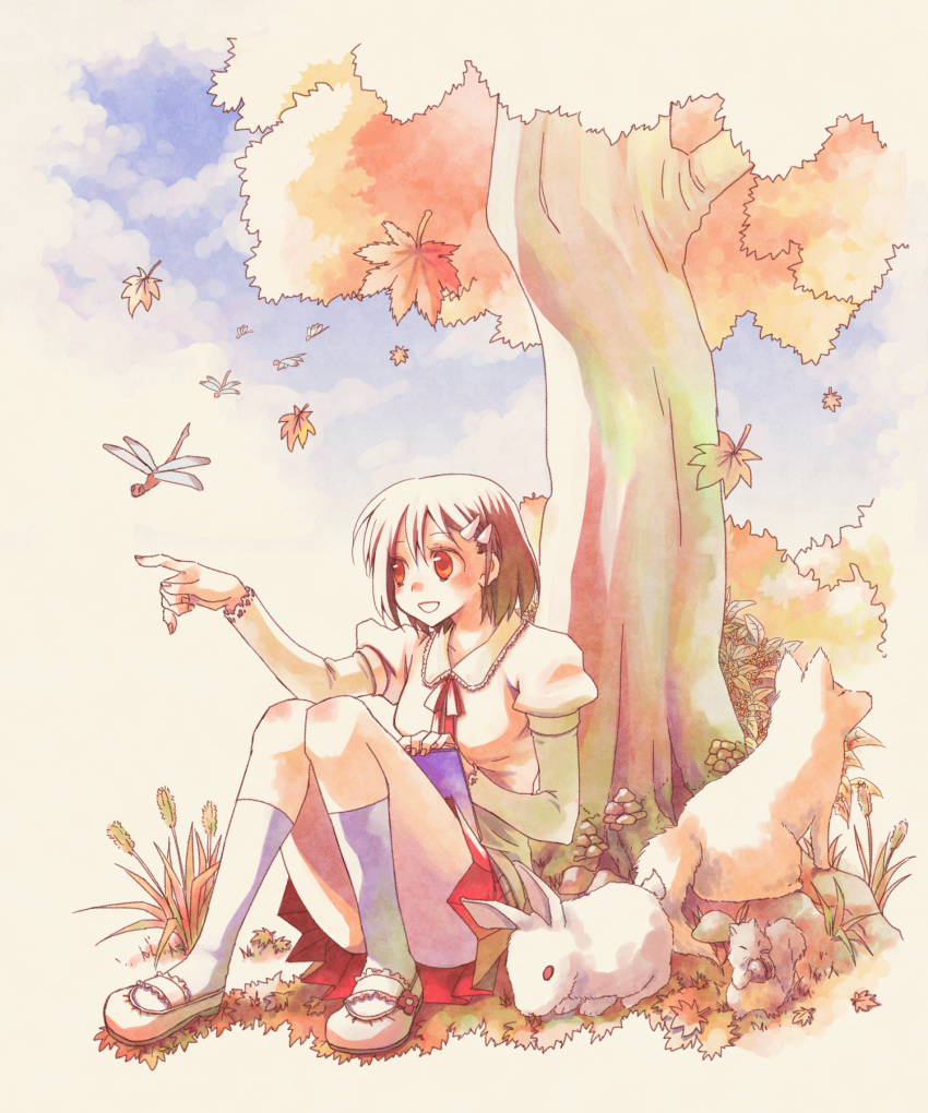 1girl, azpainter_(medium), bangs, blush, brown_eyes, brown_hair, bug, commentary_request