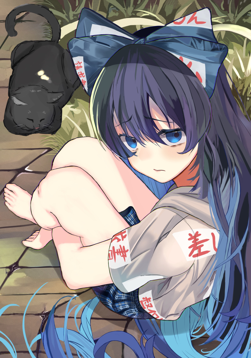 1girl, :/, absurdres, animal_ears, bangs, black_cat, blue_eyes, blue_hair