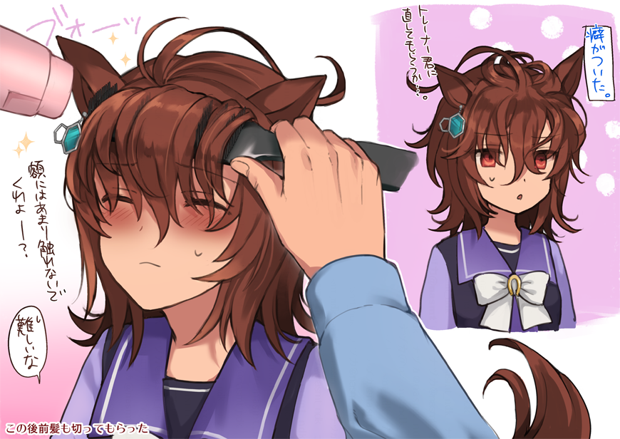 1girl, 1other, agnes_tachyon_(umamusume), ahoge, animal_ears, bangs, blush, brown_hair