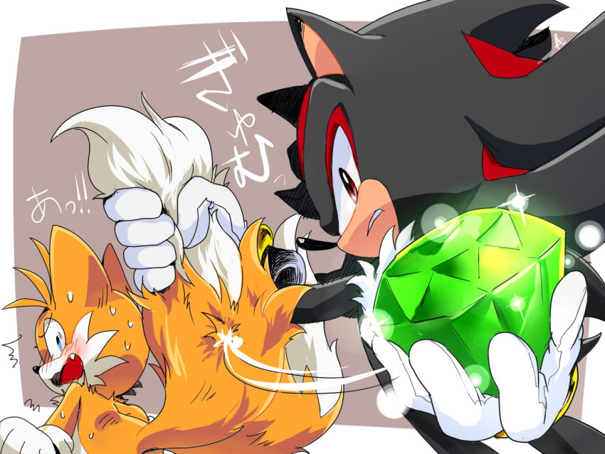 2boys, ^^^, animal_ears, animal_nose, black_hair, blue_eyes, blush, body_fur