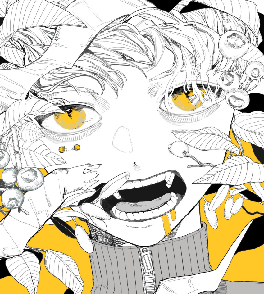 1boy, berry, close-up, commentary_request, face, highres, kamomiland, leaf