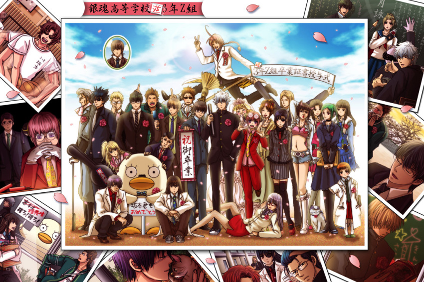 broom, cat, cat_ears, catherine, catherine_(gintama), elizabeth_(gintama), everyone, eyepatch