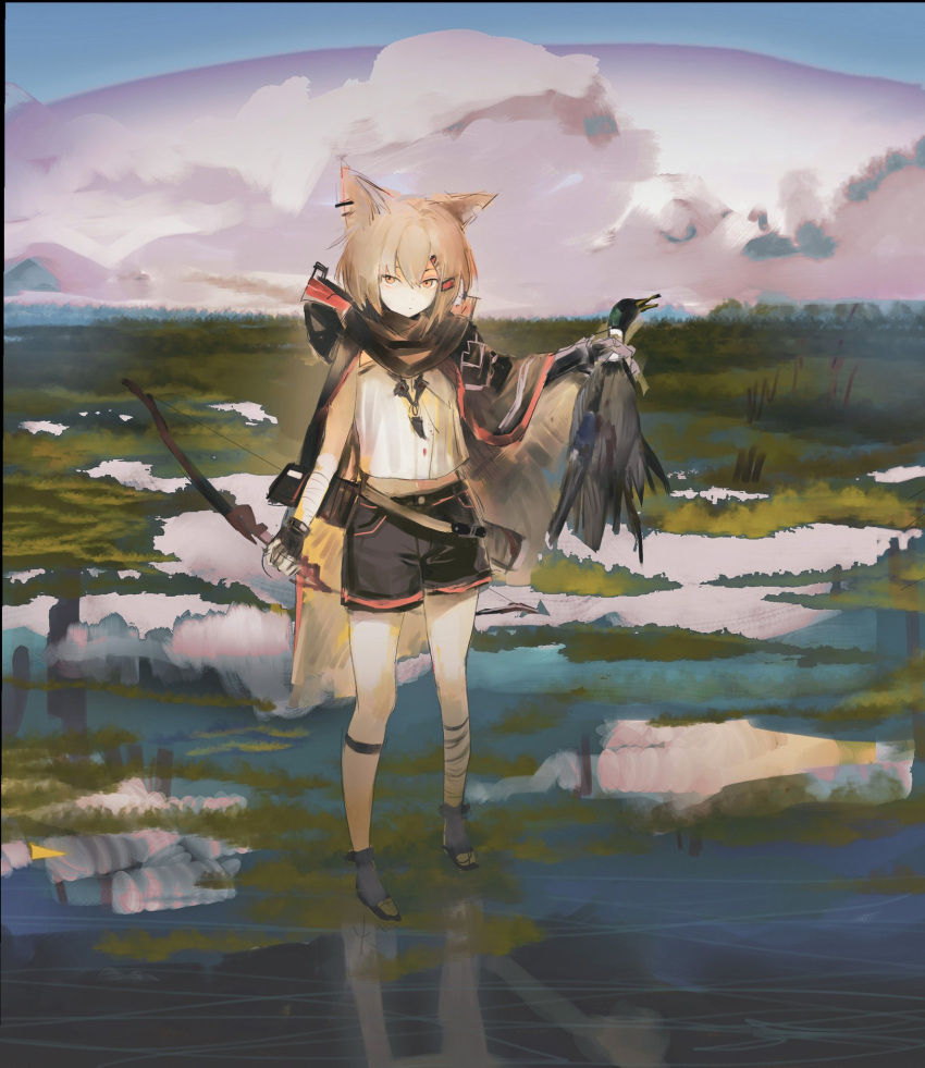 1girl, animal, animal_ears, arknights, bangs, bird, black_gloves, black_shorts