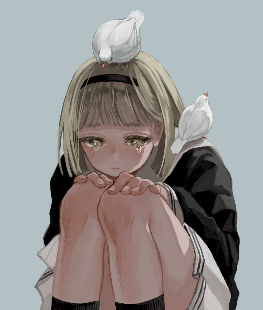 1girl, animal_on_head, animal_on_shoulder, bangs, bird, bird_on_head, bird_on_shoulder, black_hairband
