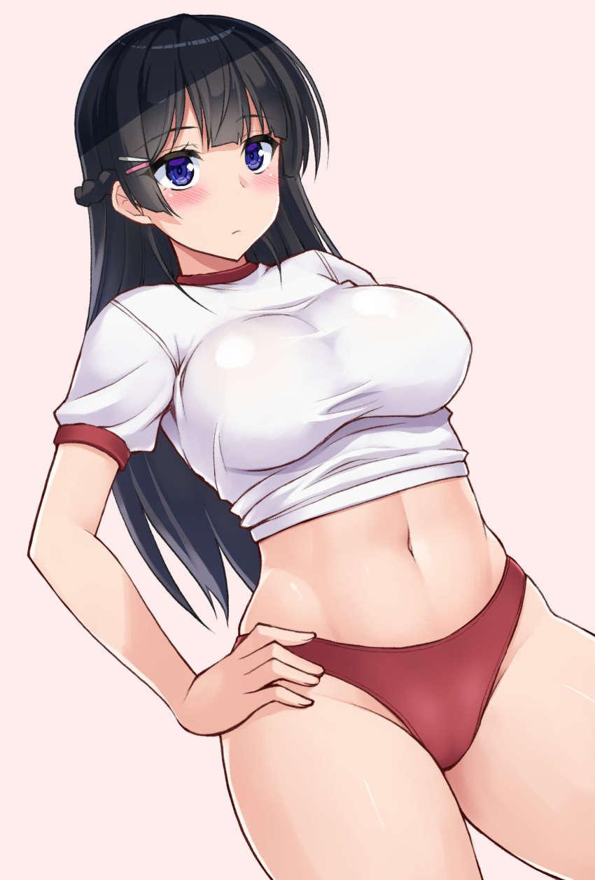 1girl, alternate_costume, black_hair, blue_eyes, blush, braid, breasts, buruma