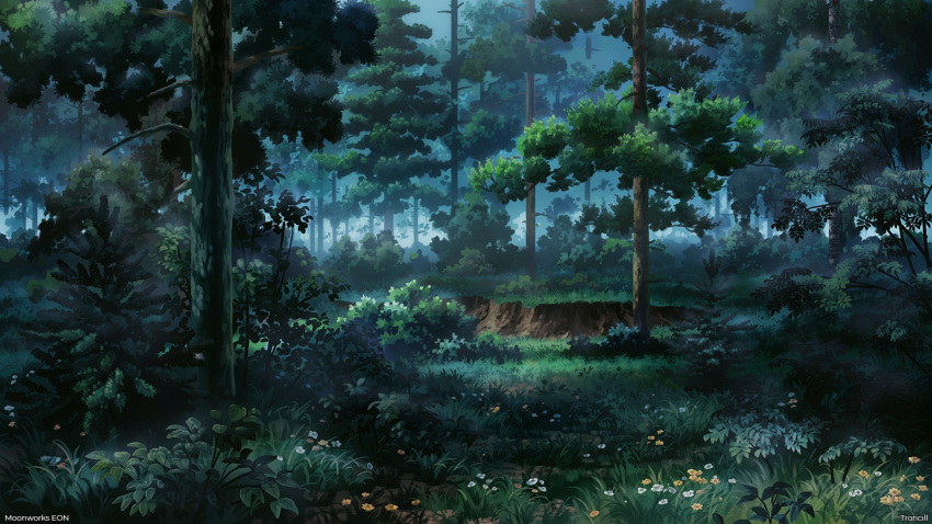 artist_name, bush, copyright_request, evening, flower, fog, forest, grass