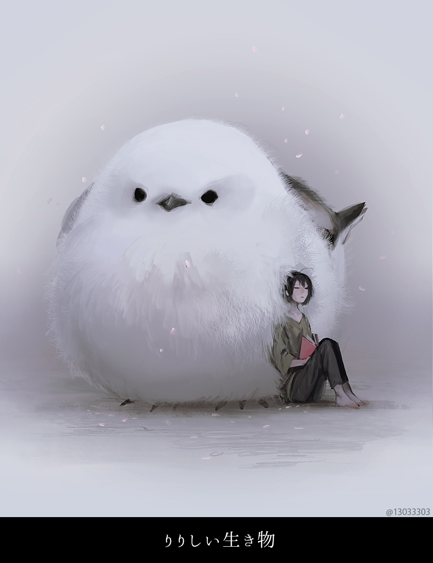 1boy, animal, animal_focus, barefoot, bird, black_hair, book, feathers