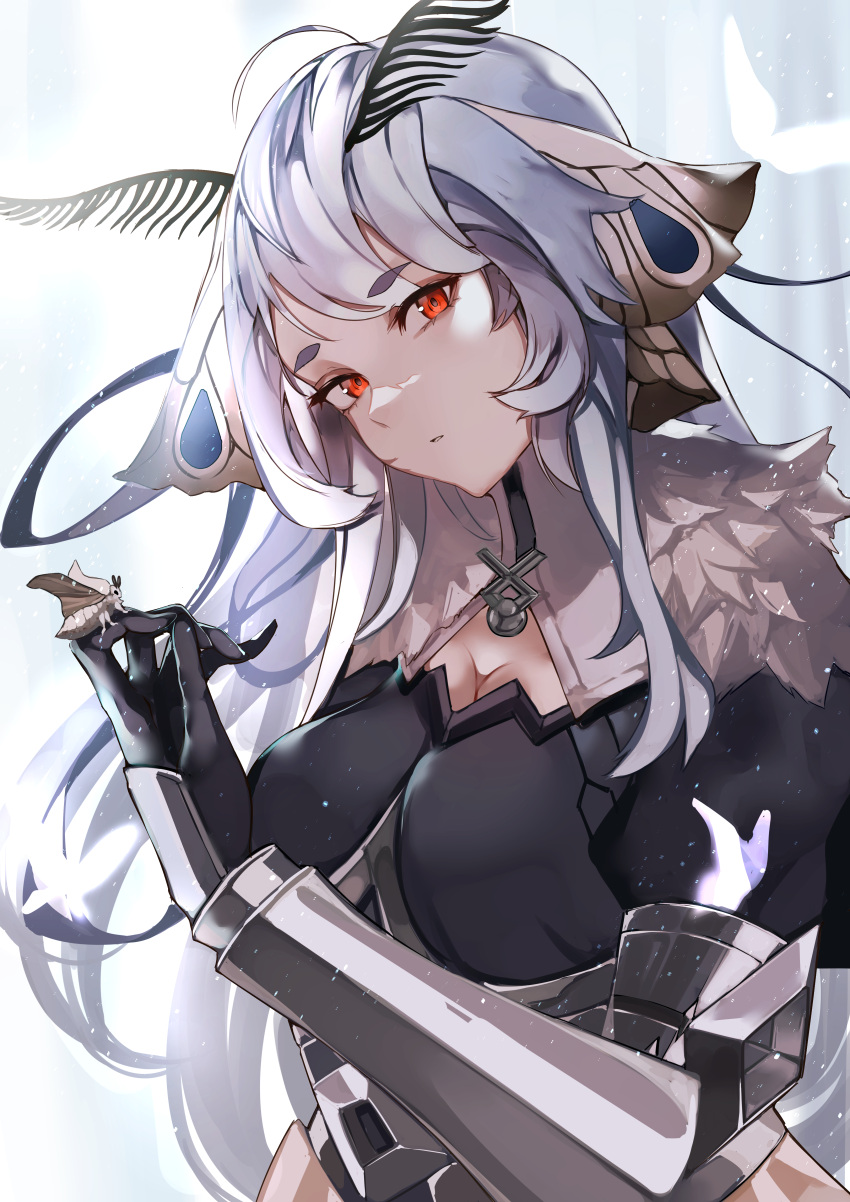 1girl, absurdres, ahoge, antennae, arthropod_girl, bangs, breasts, bug