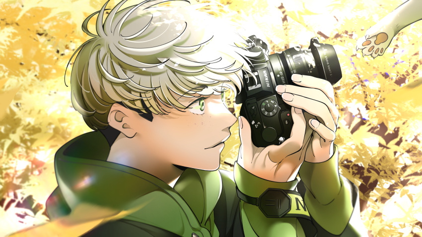 1boy, absurdres, blurry, blurry_background, camera, cat, green_eyes, green_jacket