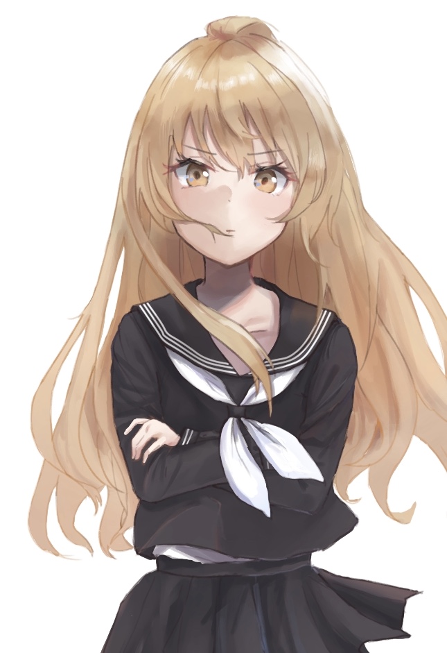 1girl, aisaka_taiga, bangs, black_collar, black_serafuku, black_shirt, black_skirt, brown_eyes, brown_hair, closed_mouth, collar, collared_shirt, commentary_request, cowboy_shot, crossed_arms, floating_hair, long_hair, long_sleeves, looking_at_viewer, neckerchief, omchee, pleated_skirt, school_uniform, serafuku, shirt, simple_background, skirt, solo, standing, toradora!, v-shaped_eyebrows, white_background, white_neckerchief