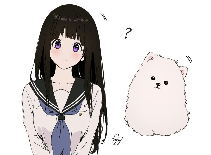 1girl, ?, bangs, black_hair, blunt_bangs, blush, chitanda_eru, collarbone