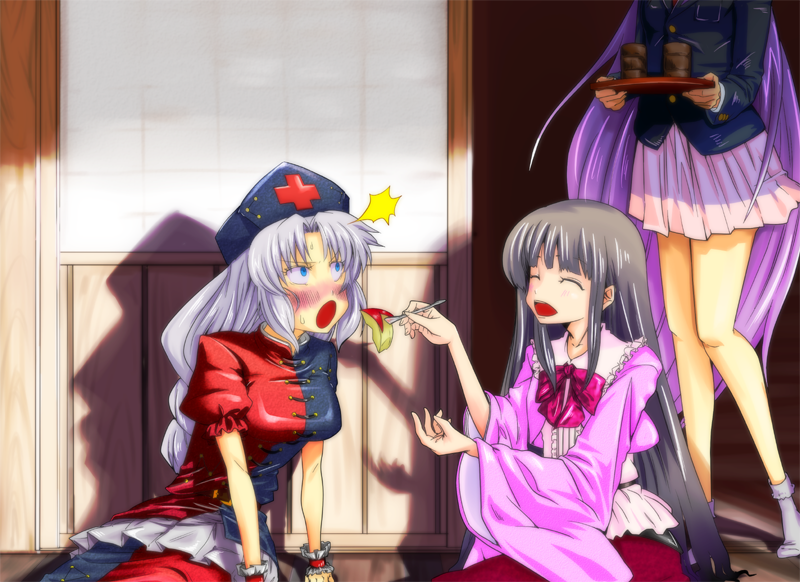 blazer, blue_eyes, braid, caught, hat, houraisan_kaguya, lavender_hair, long_hair, reisen_udongein_inaba, silver_hair, touhou, u.sa, yagokoro_eirin