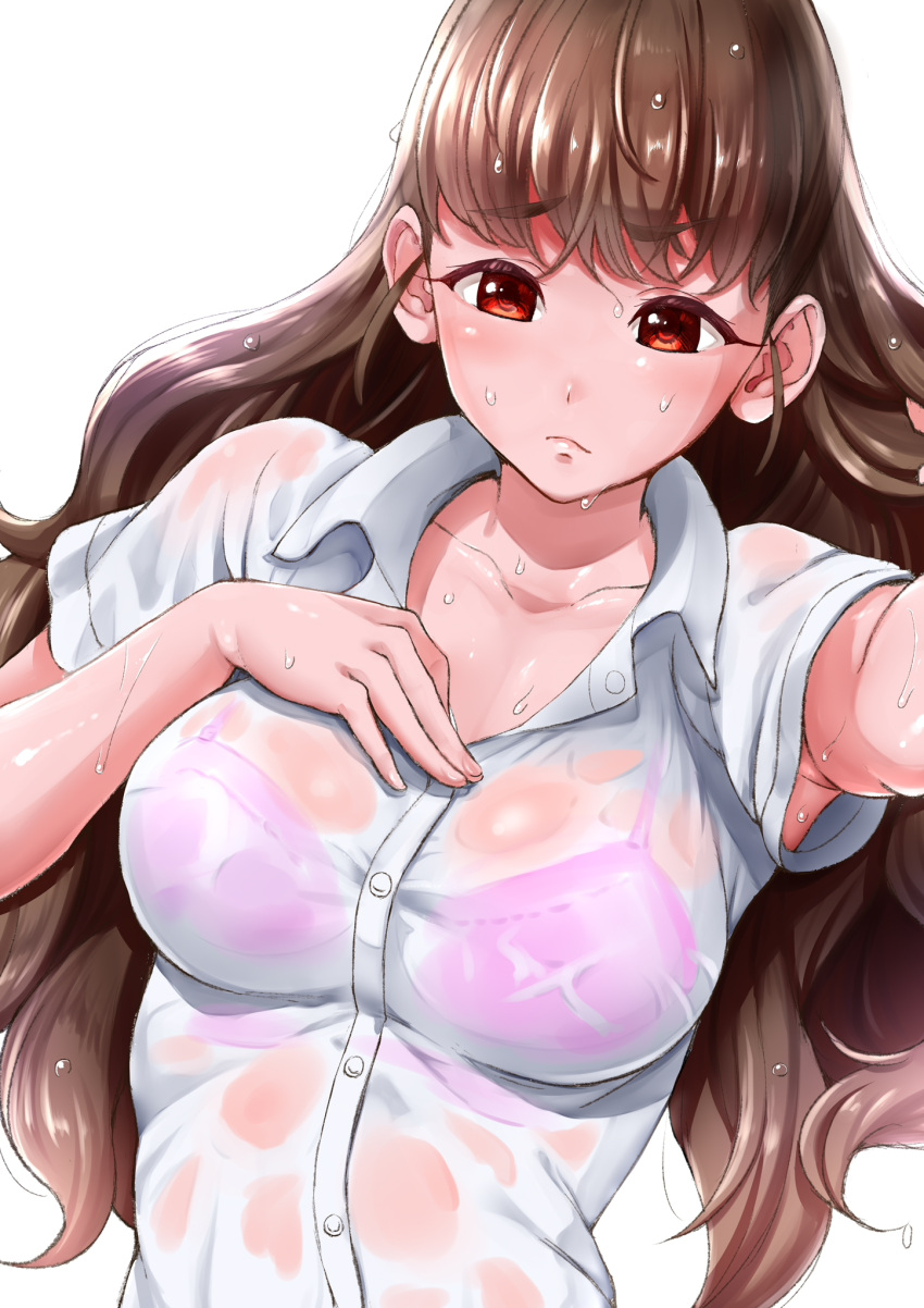 1girl, bangs, bra, bra_visible_through_clothes, breasts, brown_hair, closed_mouth, collarbone