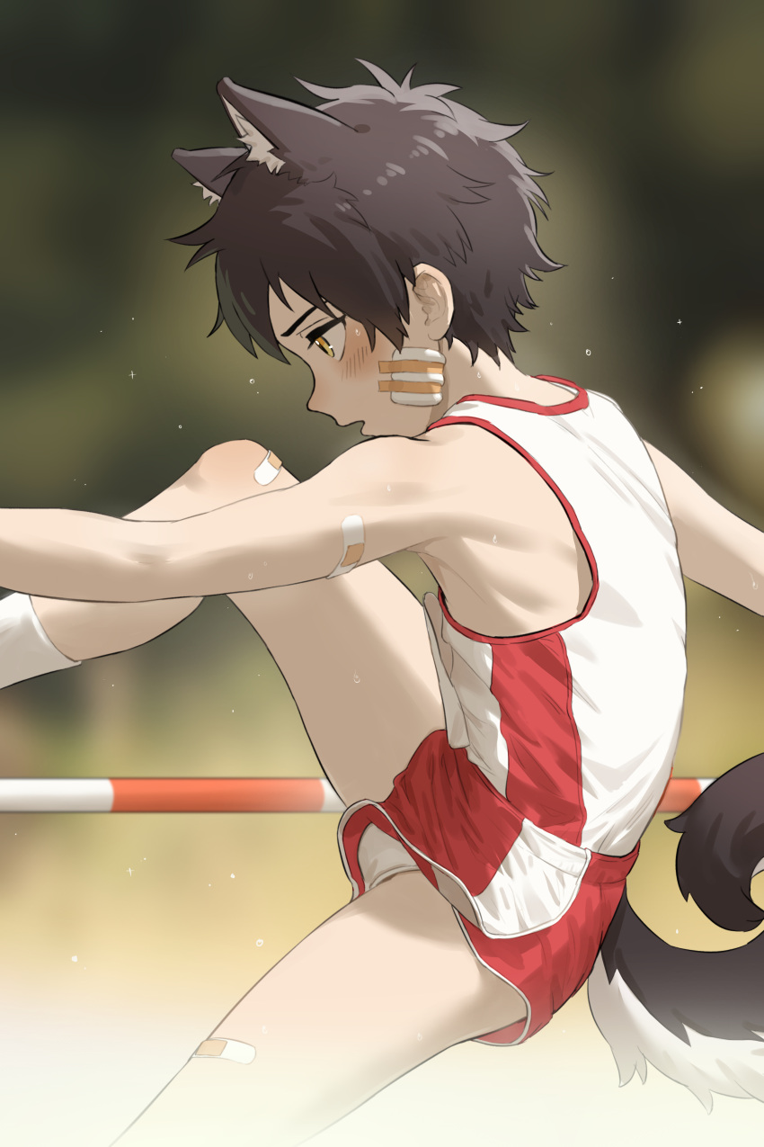 1boy, absurdres, animal_ears, bandaged_arm, bandaged_leg, bandages, bandaid, bandaid_on_face