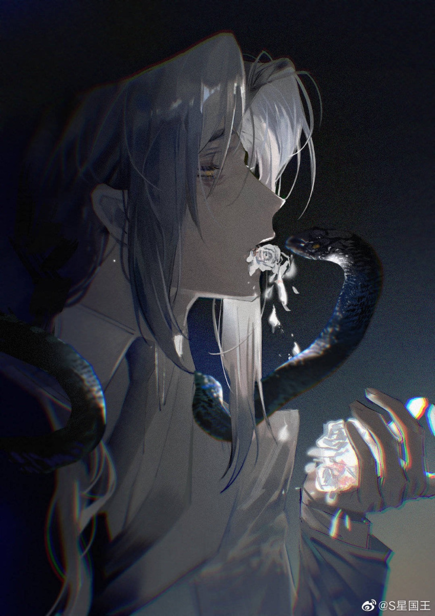 1boy, angel, animal_on_shoulder, azik_eggers, bangs, black_hair, dark, dark_skin, ears, eating, flower, flower_on_mouth, hand_up, highres, holding, holding_flower, long_sleeves, lord_of_the_mysteries, lustmuderd, nail, necktie, open_mouth, shirt, snake, solo, watermark, white_shirt, yellow_eyes