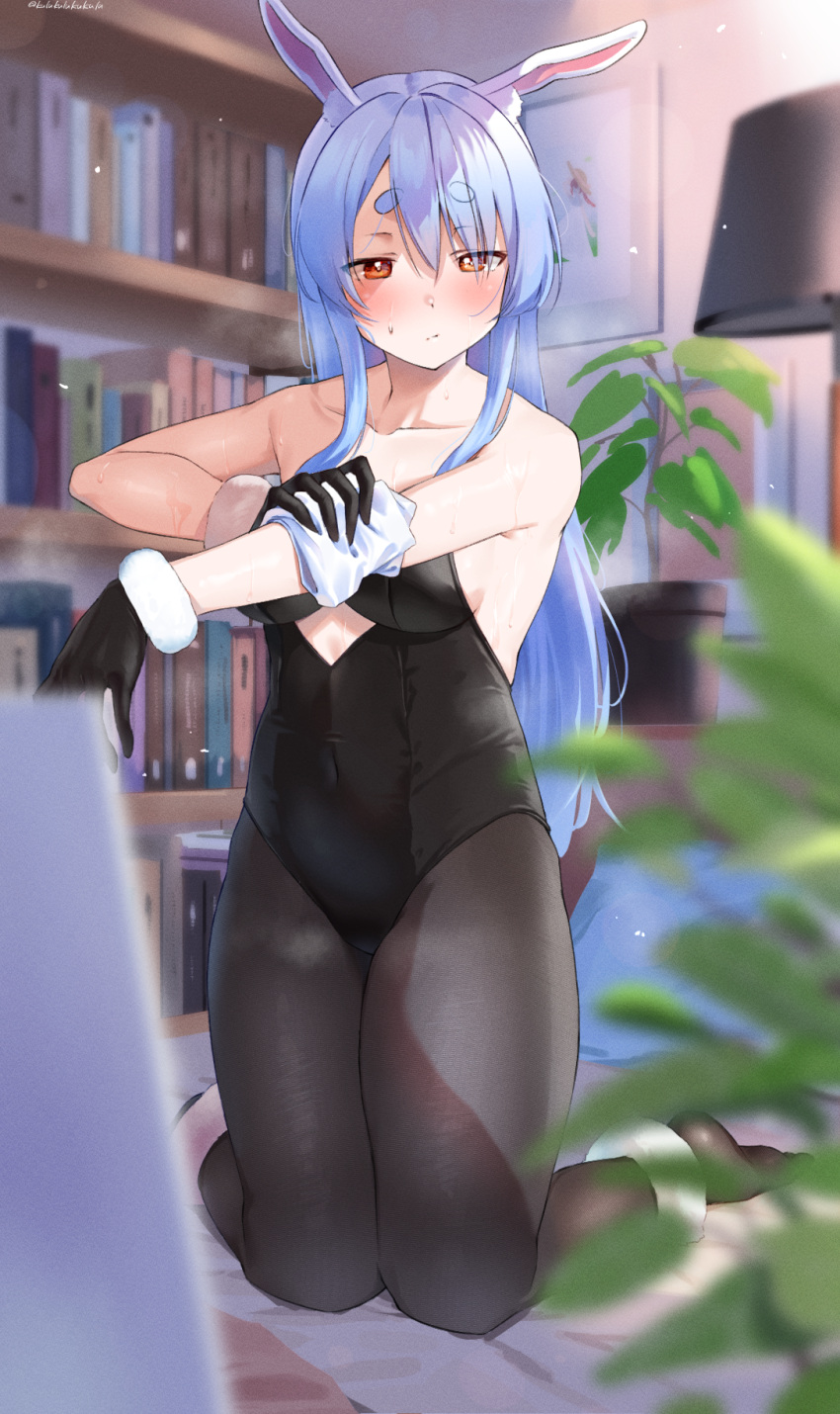 1girl, animal_ears, bare_shoulders, black_gloves, black_legwear, blue_hair, blush, collarbone