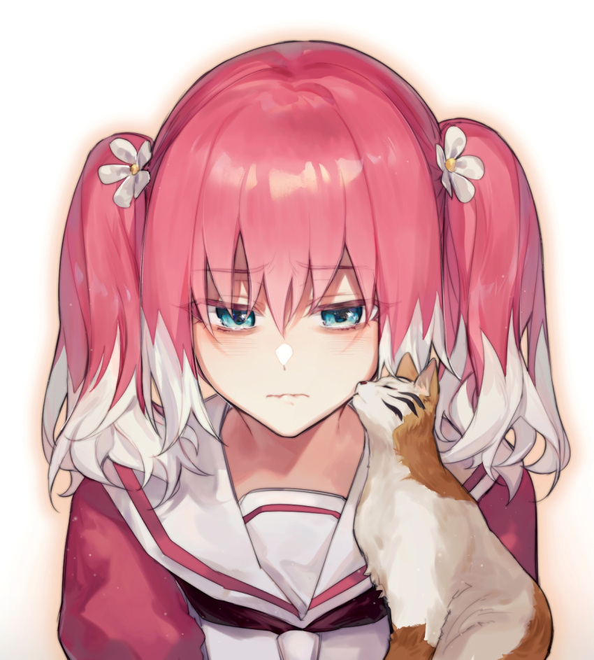 1girl, cat, closed_mouth, collared_shirt, flower, hair_flower, hair_ornament, highres