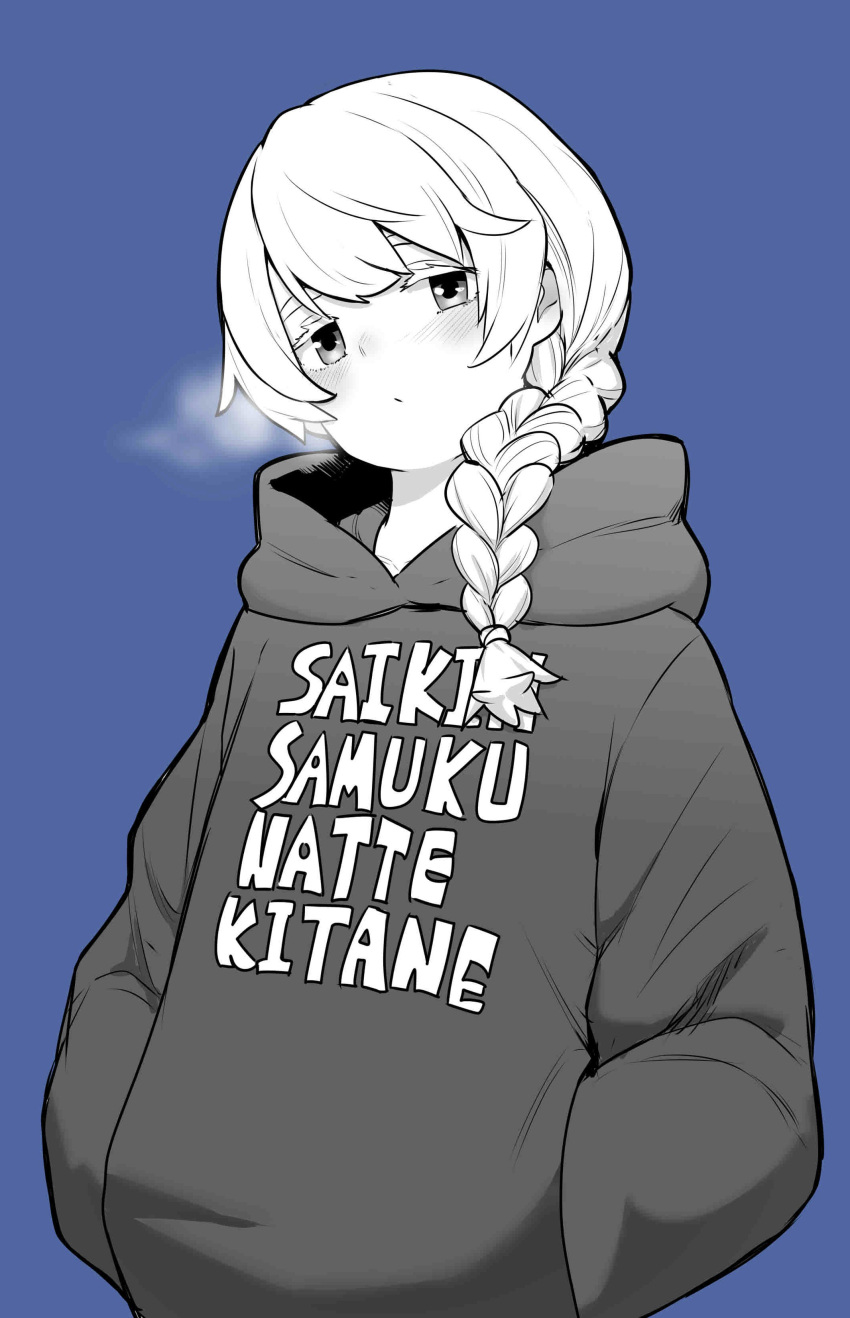 1girl, absurdres, blush, braid, breath, cold, condensation, cowboy_shot