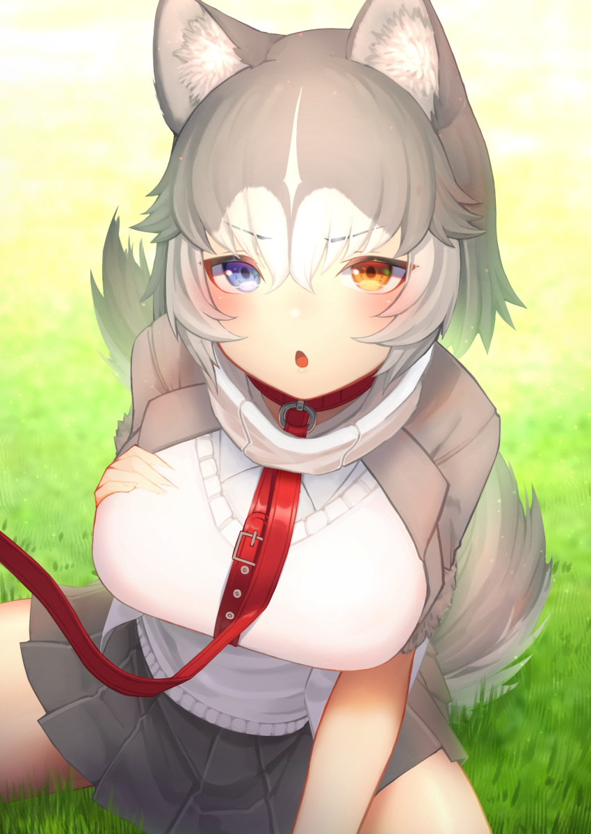 1girl, akuma_(st.takuma), animal_ears, blue_eyes, blush, collar, collared_shirt, dog_(mixed_breed)_(kemono_friends)