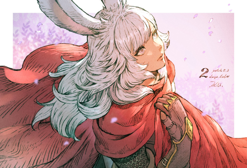 1girl, animal_ears, armor, bangs, black_gloves, chainmail, cloak, final_fantasy