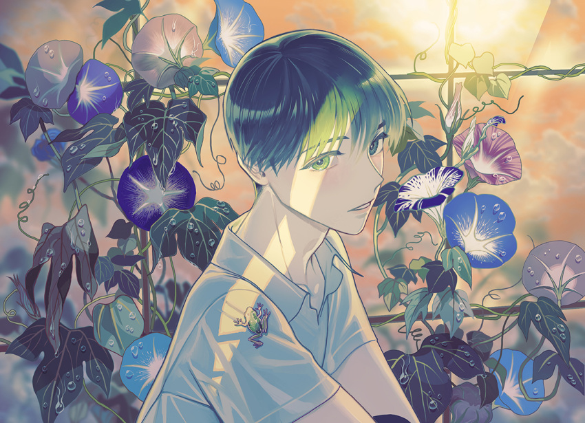 1boy, animal_on_shoulder, bishounen, collared_shirt, flower, frog, from_side, green_eyes, green_hair, hakkaku_hailey, light_rays, looking_at_viewer, male_focus, morning_glory, original, plant, shirt, short_hair, short_sleeves, smile, trellis, water_drop