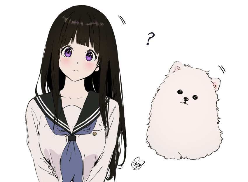 1girl, ?, bangs, black_hair, blunt_bangs, blush, chitanda_eru, collarbone