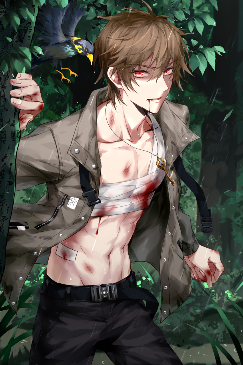 1boy, abs, absurdres, animal, bandages, bangs, bird, blood