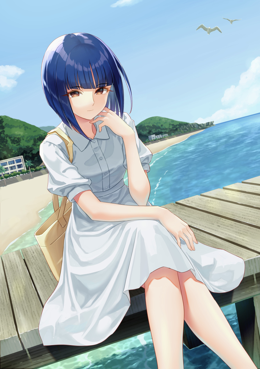 1girl, absurdres, beach, bird, blue_hair, bob_cut, brown_eyes, closed_mouth