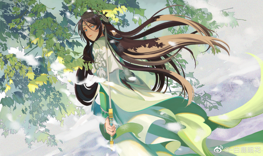 1girl, bai_lu_mian_hua, battle_through_the_heavens, black_hair, chinese_text, dress, green_dress, hair_ornament