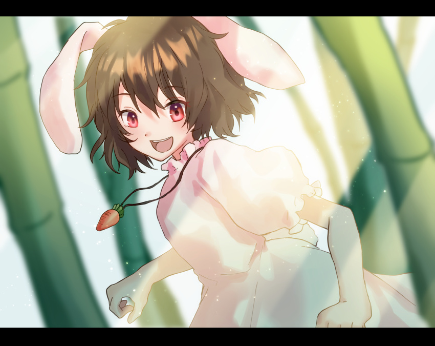 1girl, animal_ears, bamboo, bangs, brown_hair, carrot_necklace, commentary_request, cowboy_shot