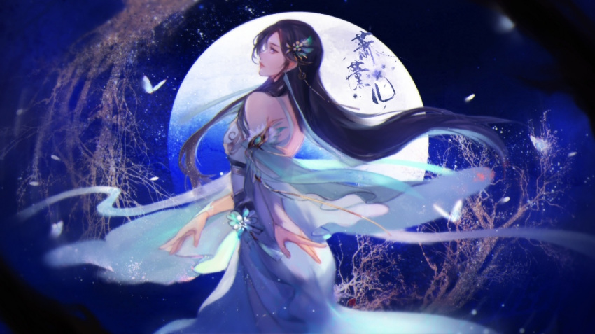 1girl, battle_through_the_heavens, bug, butterfly, full_moon, gun_xun_er_(battle_through_the_heavens), hair_ornament, hands, long_hair, moon, night, sideways_glance, sleeves, weibo_id, weibo_logo, xiao_xun_er_shi_guang_lu