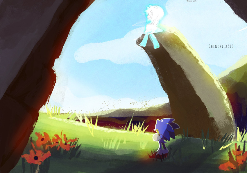 1boy, 1girl, :d, amy_rose, blue_sky, chinchila010, clouds, cloudy_sky, crossed_arms, day, field, flower, ghost, grass, highres, outdoors, sitting_on_rock, sky, smile, sonic_(series), sonic_frontiers, sonic_the_hedgehog, standing, twitter_username