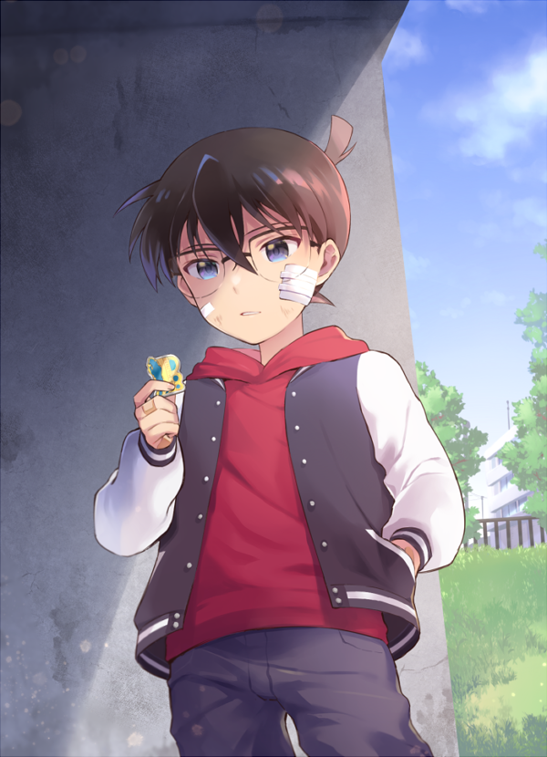 0apple00, 1boy, badge, bandage_on_face, bandages, black-framed_eyewear, black_pants, blue_eyes, blue_sky, brown_hair, child, clouds, commentary_request, cowboy_shot, day, edogawa_conan, glasses, grass, hair_between_eyes, hand_in_pocket, holding, hood, hood_down, hoodie, jacket, letterman_jacket, long_sleeves, looking_down, male_focus, meitantei_conan, outdoors, pants, railing, red_hoodie, scratches, shadow, short_hair, sky, solo, standing, tree, upper_body