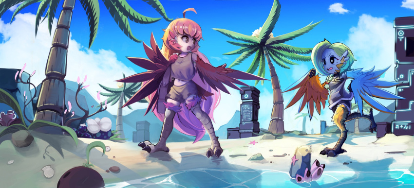 2girls, ahoge, animal_ears, bag, bangs, beach, bird_ears, bird_legs, black_eyes, black_shorts, blue_feathers, blue_wings, braid, brown_eyes, brown_skirt, brown_tank_top, clouds, coco_(eogks), coconut, green_hair, harpy, highres, jogging, long_hair, looking_at_another, mako_(eogks), midriff, monster_girl, multiple_girls, navel, nn_(eogks), open_mouth, orange_feathers, orange_hair, orange_wings, original, palm_tree, plant, red_feathers, red_wings, satchel, seashell, shell, short_hair, shorts, siblings, sisters, skirt, sky, talons, tank_top, tree, two-tone_wings, very_long_hair, water, winged_arms, wings
