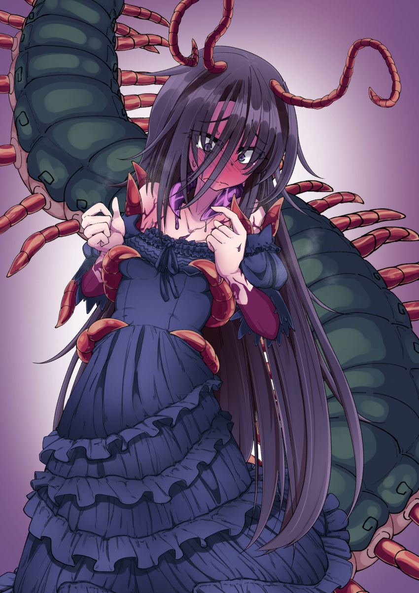 1girl, antennae, arthropod_girl, arthropod_legs, bare_shoulders, black_dress, blush, centipede_girl, closed_mouth, dress, full-face_blush, gothic, highres, long_hair, monster_girl, monster_girl_encyclopedia, oomukade_(monster_girl_encyclopedia), purple_hair, solo, tyomoti, violet_eyes