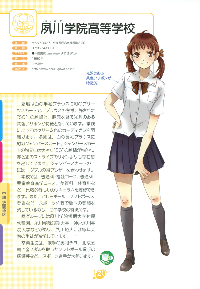 1girl, brown_eyes, brown_hair, character_profile, fujimori_yuyukan, joshikou_seifuku_hyakka, kneehighs, seifuku