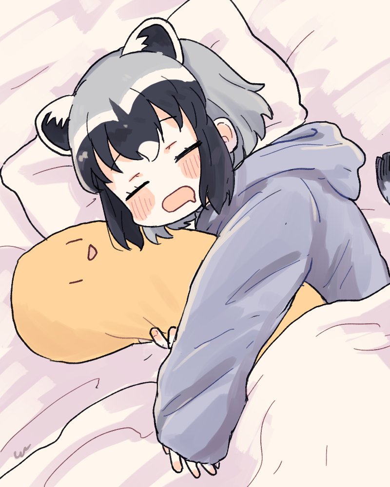 1girl, animal_ears, black_hair, blue_hoodie, closed_eyes, common_raccoon_(kemono_friends), drooling, grey_hair