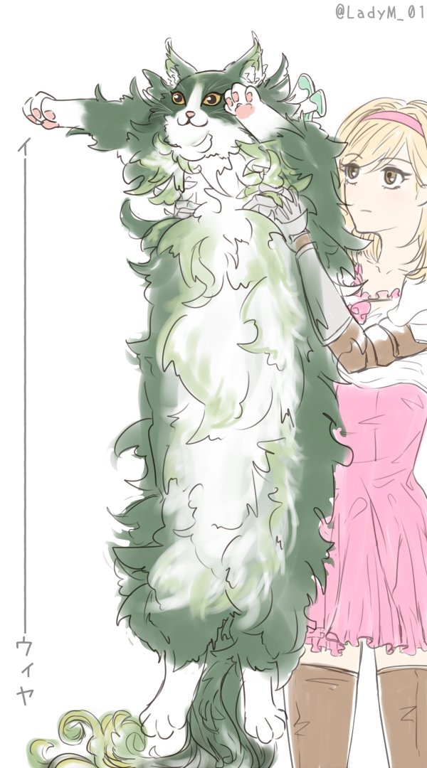 1girl, animal, animal_focus, blonde_hair, brown_legwear, cat, closed_mouth, djeeta_(granblue_fantasy), dress, ewiyar_(granblue_fantasy), fluffy, gauntlets, granblue_fantasy, hairband, holding, holding_animal, longcat_(meme), meme, rediemu, simple_background, thigh-highs, white_background, yellow_eyes