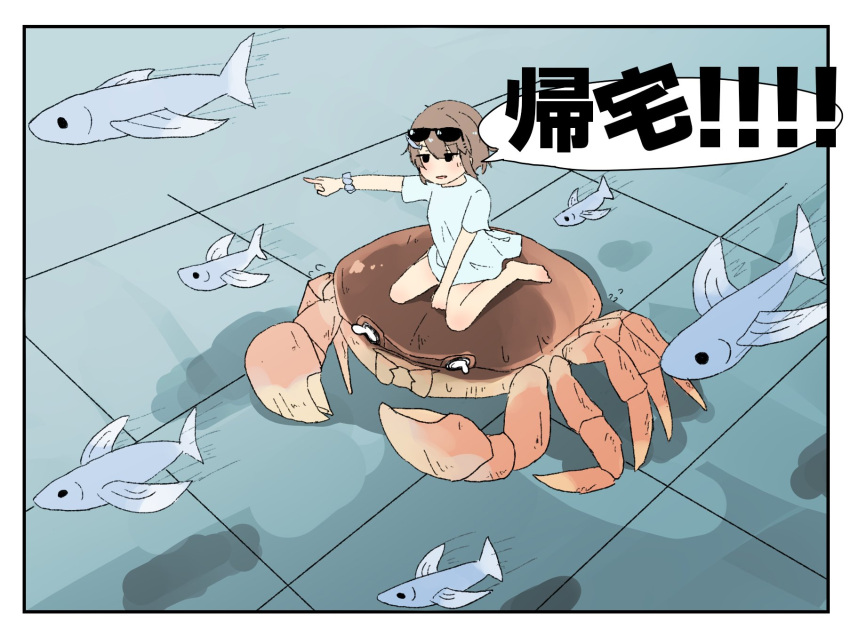 1girl, animal, bangs, bare_legs, barefoot, border, brown_hair, crab