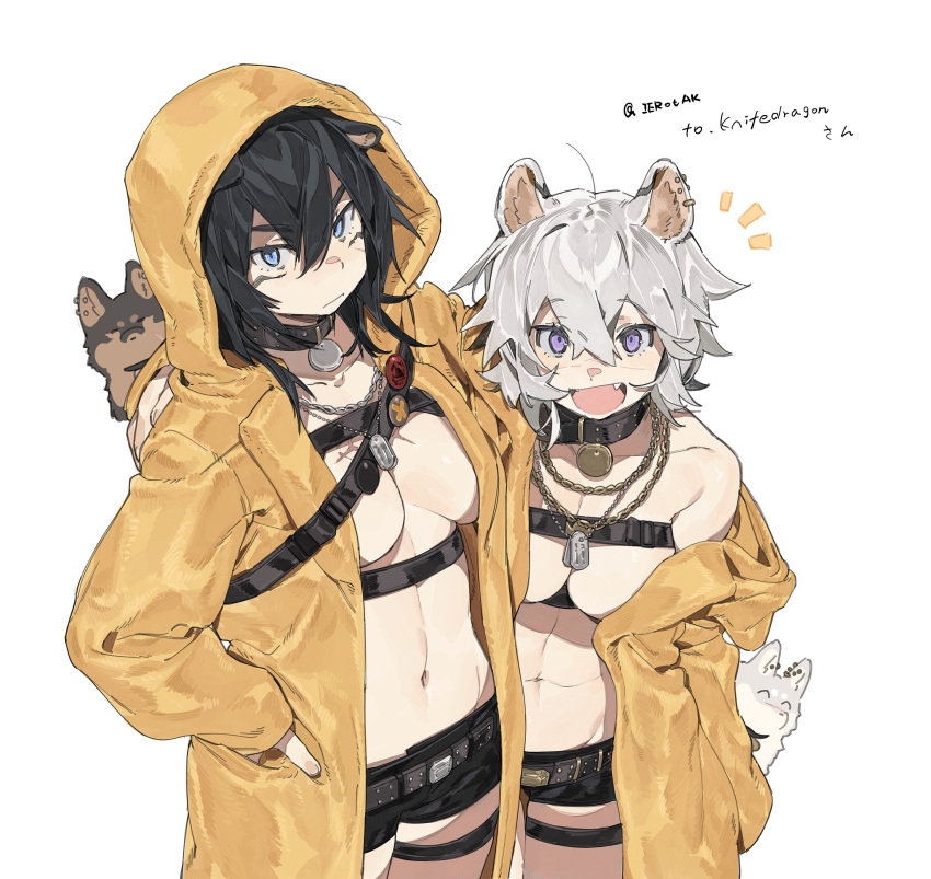 2girls, absurdres, animal_ears, belt, black_belt, black_collar, black_hair, black_shorts